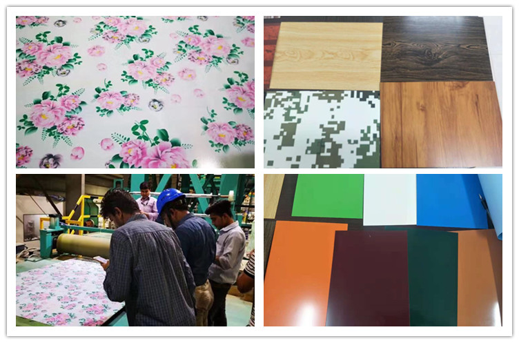 PPGL with patterns.jpg